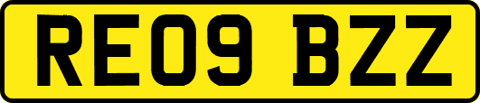 RE09BZZ