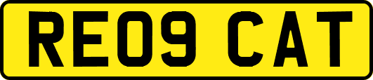 RE09CAT