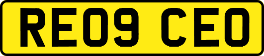 RE09CEO
