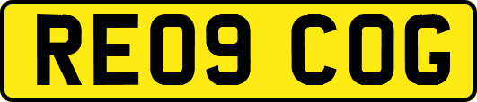 RE09COG