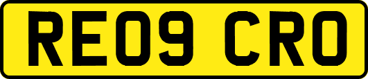 RE09CRO