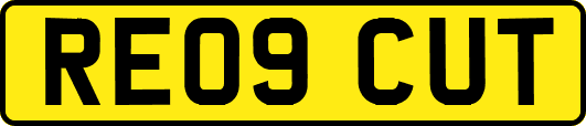 RE09CUT