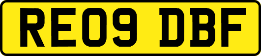 RE09DBF