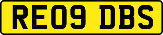 RE09DBS