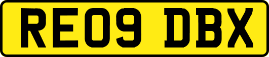 RE09DBX