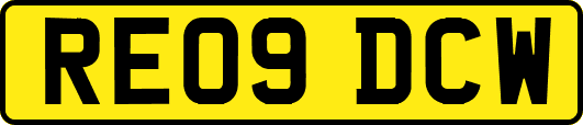 RE09DCW