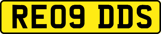 RE09DDS