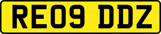 RE09DDZ