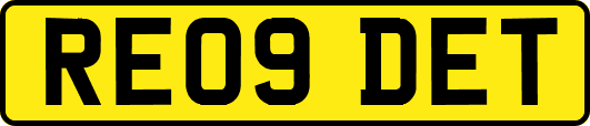RE09DET