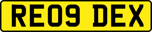 RE09DEX