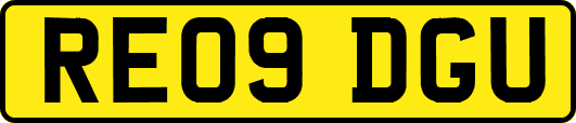 RE09DGU