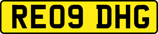 RE09DHG