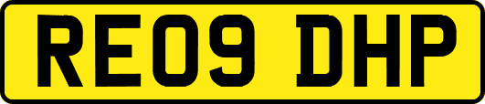 RE09DHP