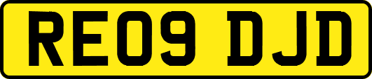 RE09DJD