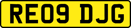 RE09DJG