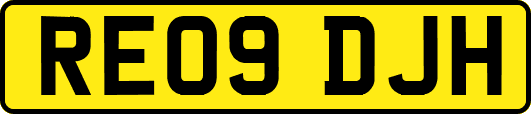 RE09DJH