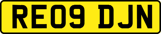 RE09DJN