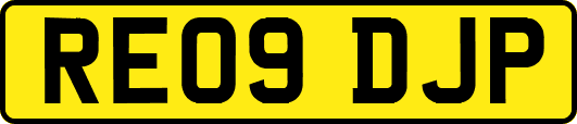 RE09DJP