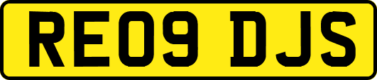 RE09DJS
