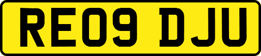 RE09DJU
