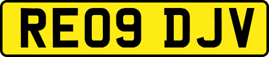 RE09DJV