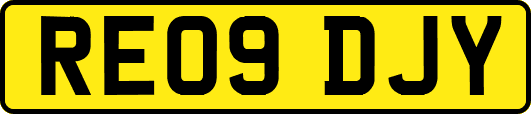 RE09DJY