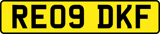 RE09DKF