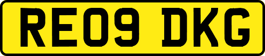 RE09DKG