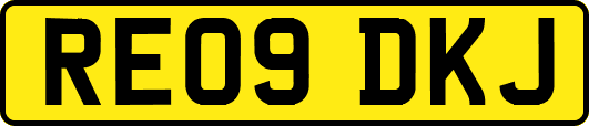 RE09DKJ