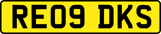 RE09DKS