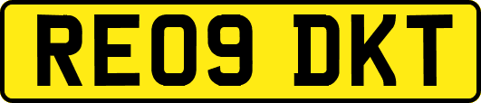 RE09DKT
