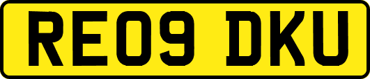 RE09DKU