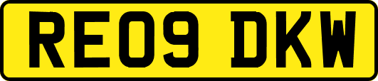 RE09DKW