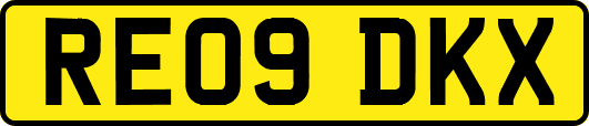 RE09DKX