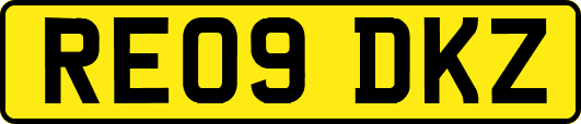 RE09DKZ