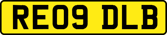 RE09DLB