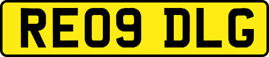 RE09DLG