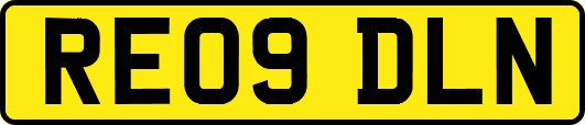 RE09DLN