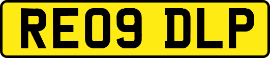 RE09DLP