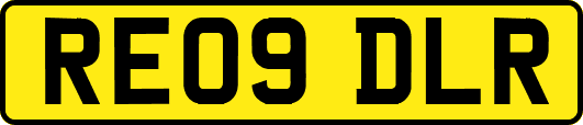 RE09DLR