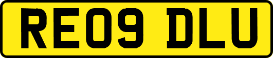 RE09DLU