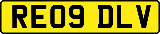RE09DLV