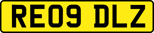 RE09DLZ