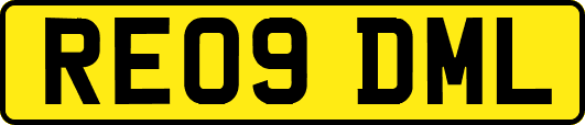 RE09DML