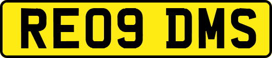 RE09DMS