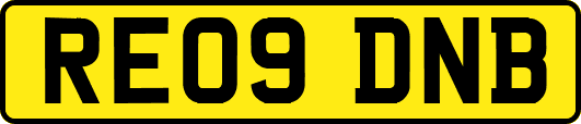 RE09DNB