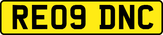 RE09DNC