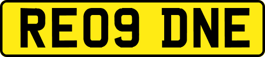 RE09DNE