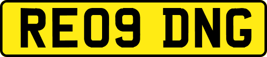 RE09DNG