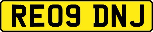 RE09DNJ